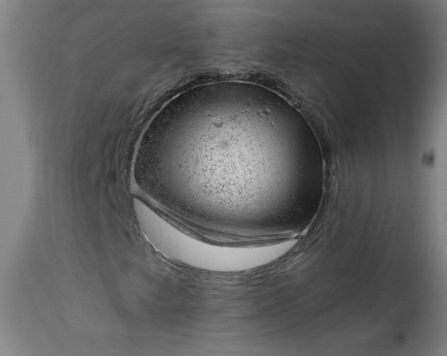 X0000112921249200909080926