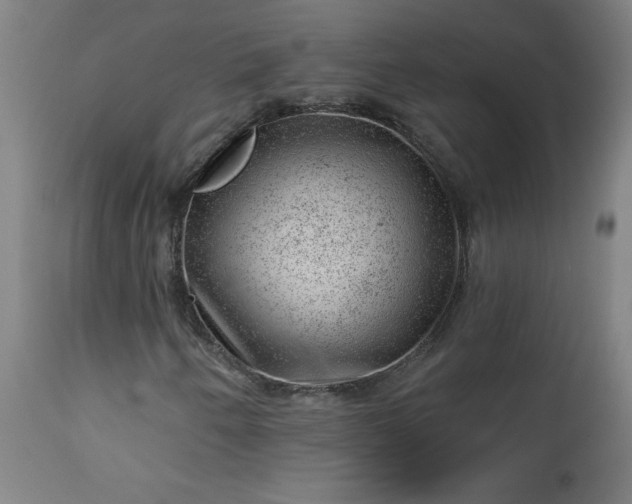 X0000112921250200909080926