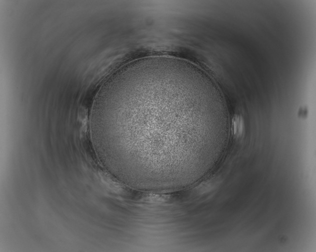 X0000112921251200909080926