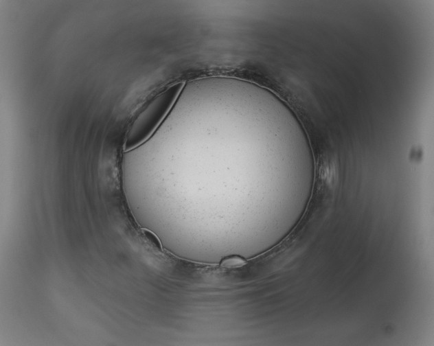 X0000112921252200909080926