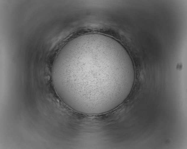 X0000112921253200909080926