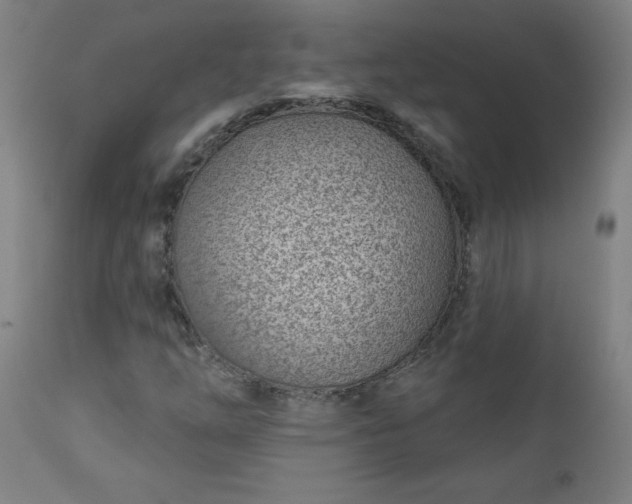 X0000112921254200909080926