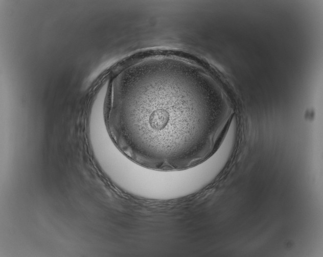 X0000112921255200909080926