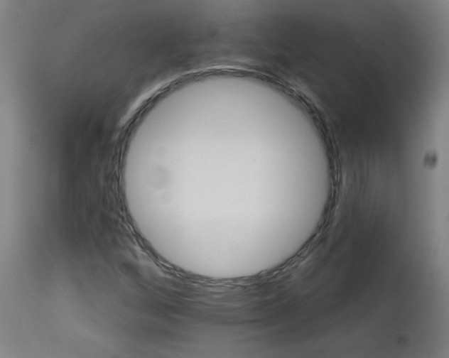 X0000112921256200909080926