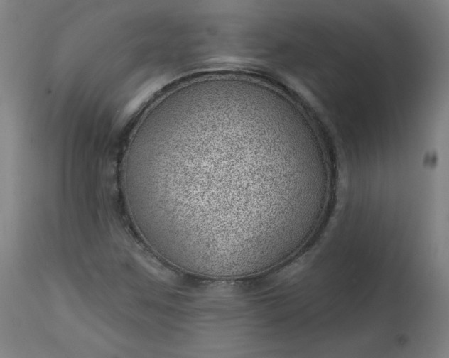 X0000112921259200909080926