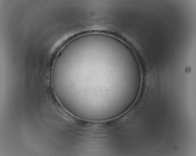 X0000112921262200909080926