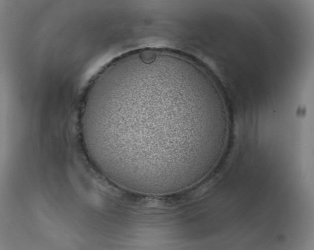 X0000112921263200909080926