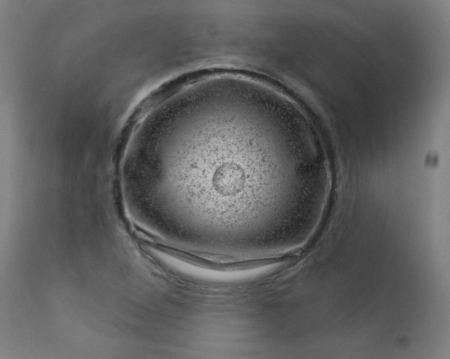 X0000112921264200909080926