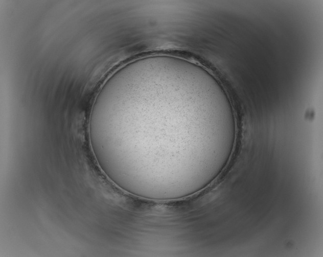 X0000112921265200909080925
