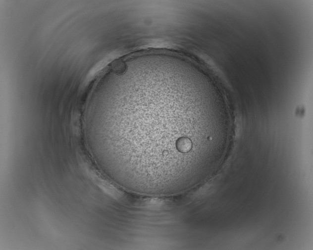 X0000112921266200909080925