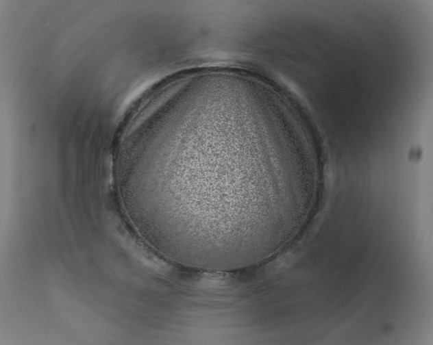 X0000112921267200909080925
