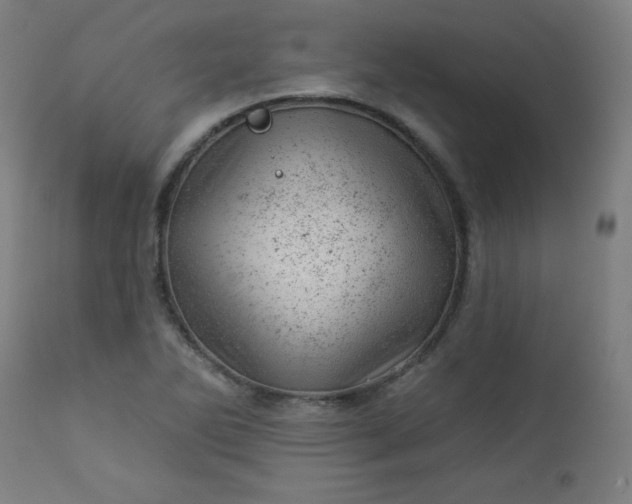 X0000112921270200909080925