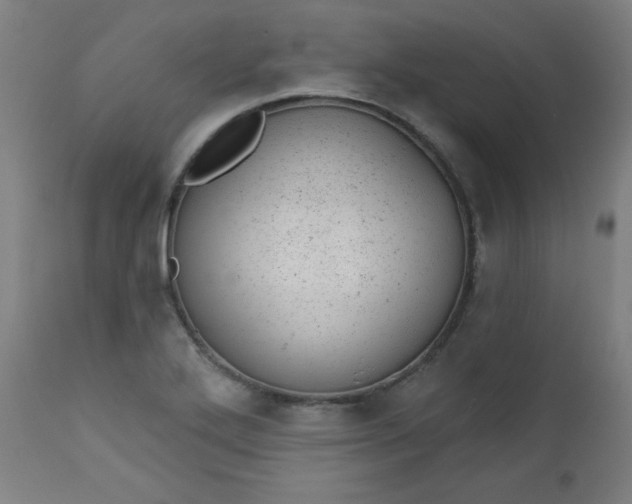 X0000112921272200909080925