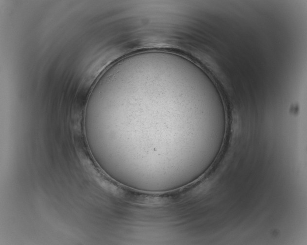 X0000112921273200909080925