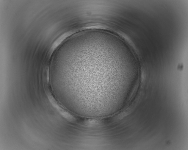 X0000112921274200909080925