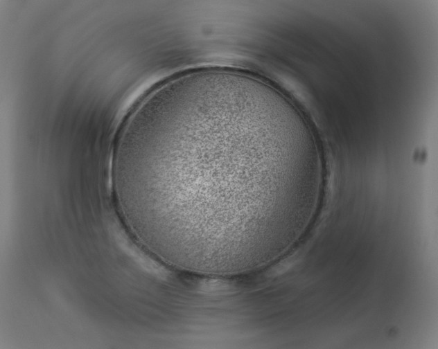 X0000112921275200909080925