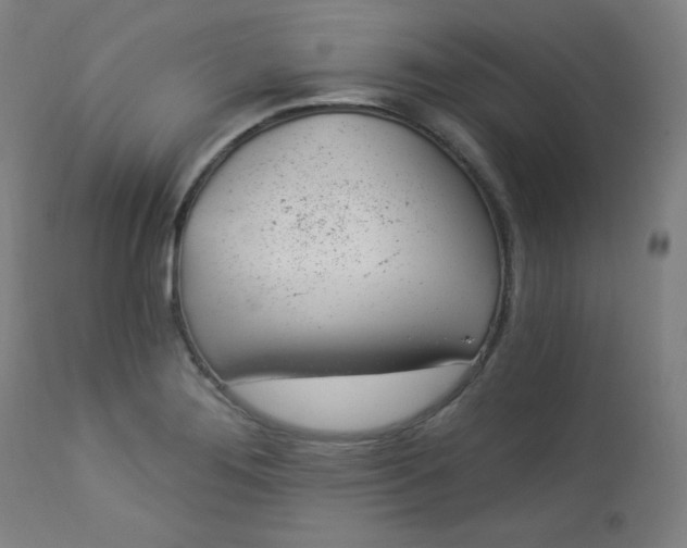X0000112921276200909080925