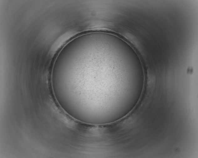X0000112921277200909080925