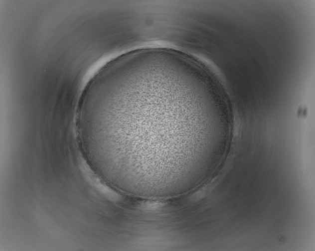 X0000112921278200909080925