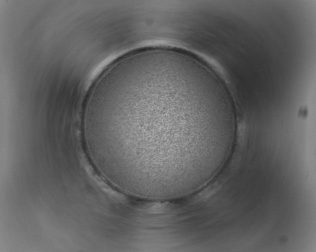 X0000112921279200909080925