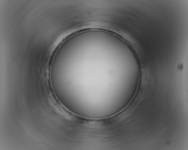 X0000112921280200909080925