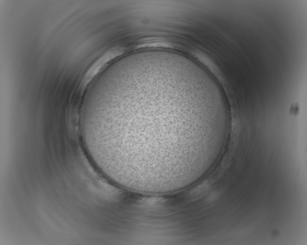 X0000112921282200909080925