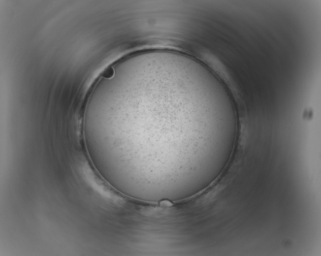 X0000112921284200909080925