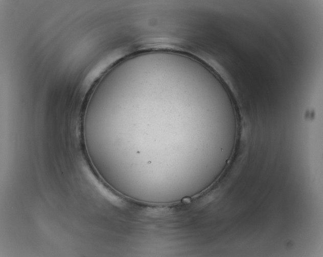 X0000112921285200909080925