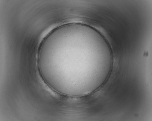 X0000112921286200909080925