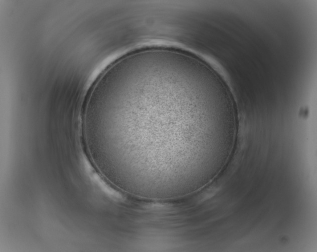 X0000112921287200909080925