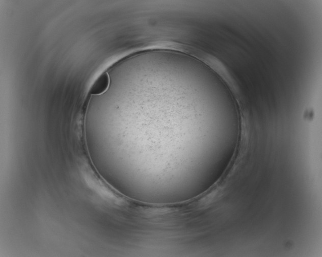 X0000112921292200909080925