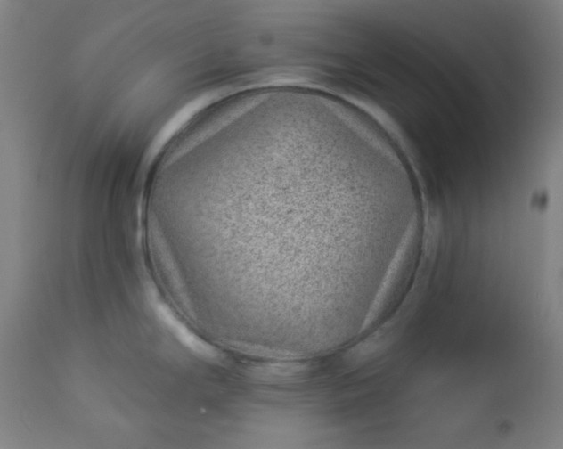 X0000112921294200909080925