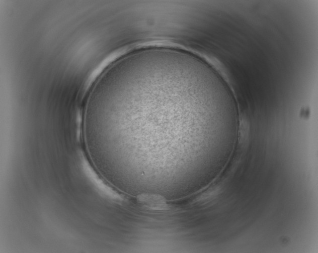 X0000112921295200909080925
