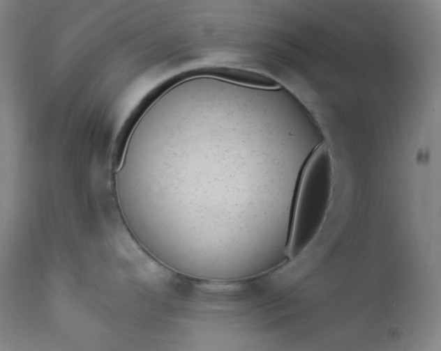 X0000112921296200909080925
