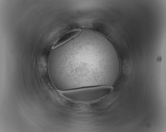 X0000112921298200909080924