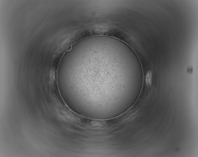 X0000112921299200909080924
