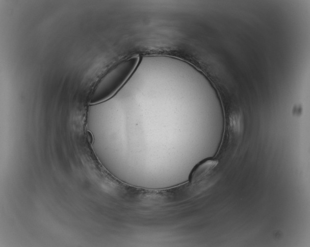 X0000112921300200909080924