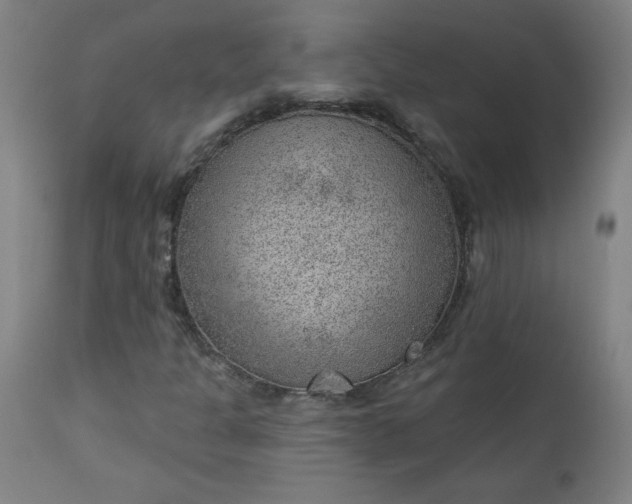 X0000112921301200909080924
