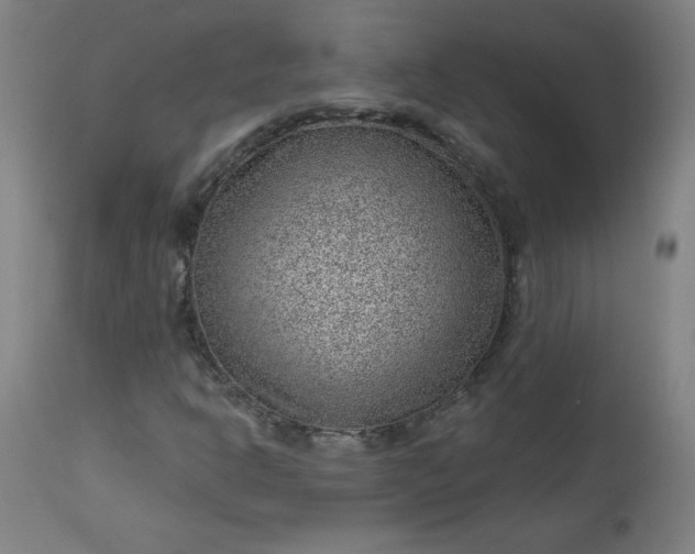 X0000112921302200909080924