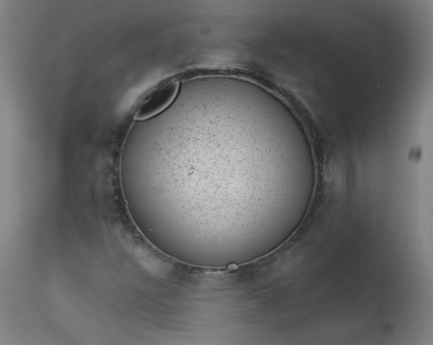 X0000112921304200909080925