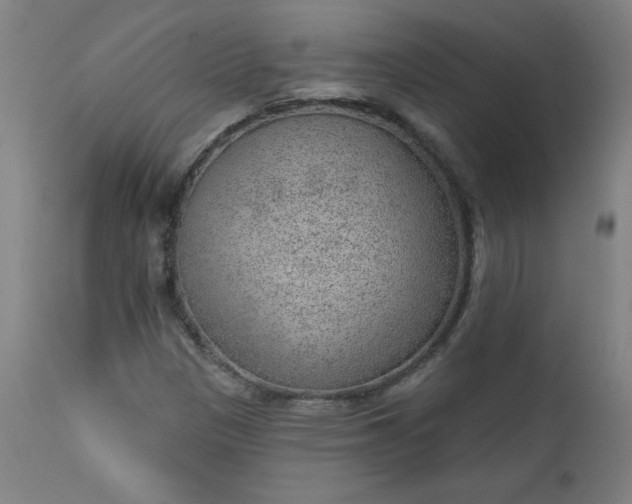 X0000112921305200909080925