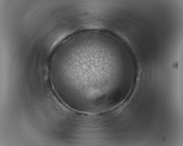 X0000112921306200909080925