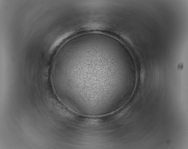 X0000112921309200909080925