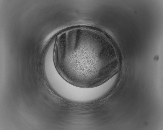 X0000112921310200909080925