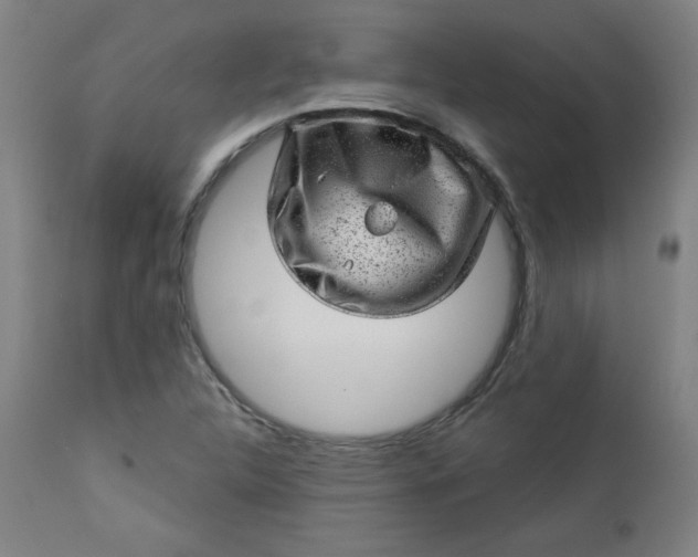 X0000112921312200909080925