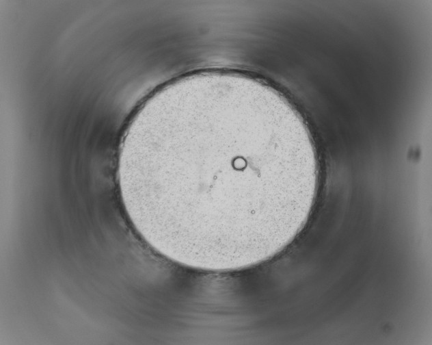 X0000112921314200909080925