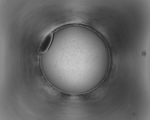 X0000112921316200909080925