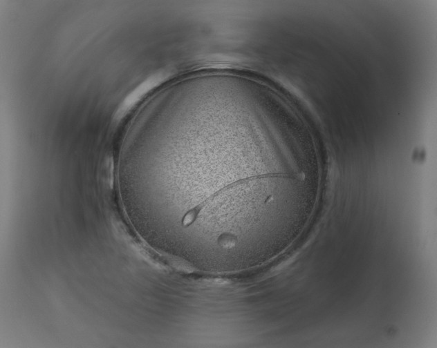 X0000112921317200909080925