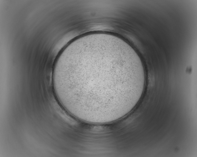 X0000112921322200909080925