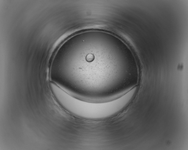 X0000112921324200909080925
